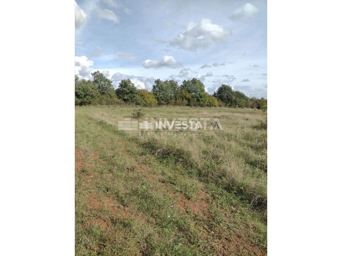 Tar, Kmetijsko zemljišče 10.000 m2