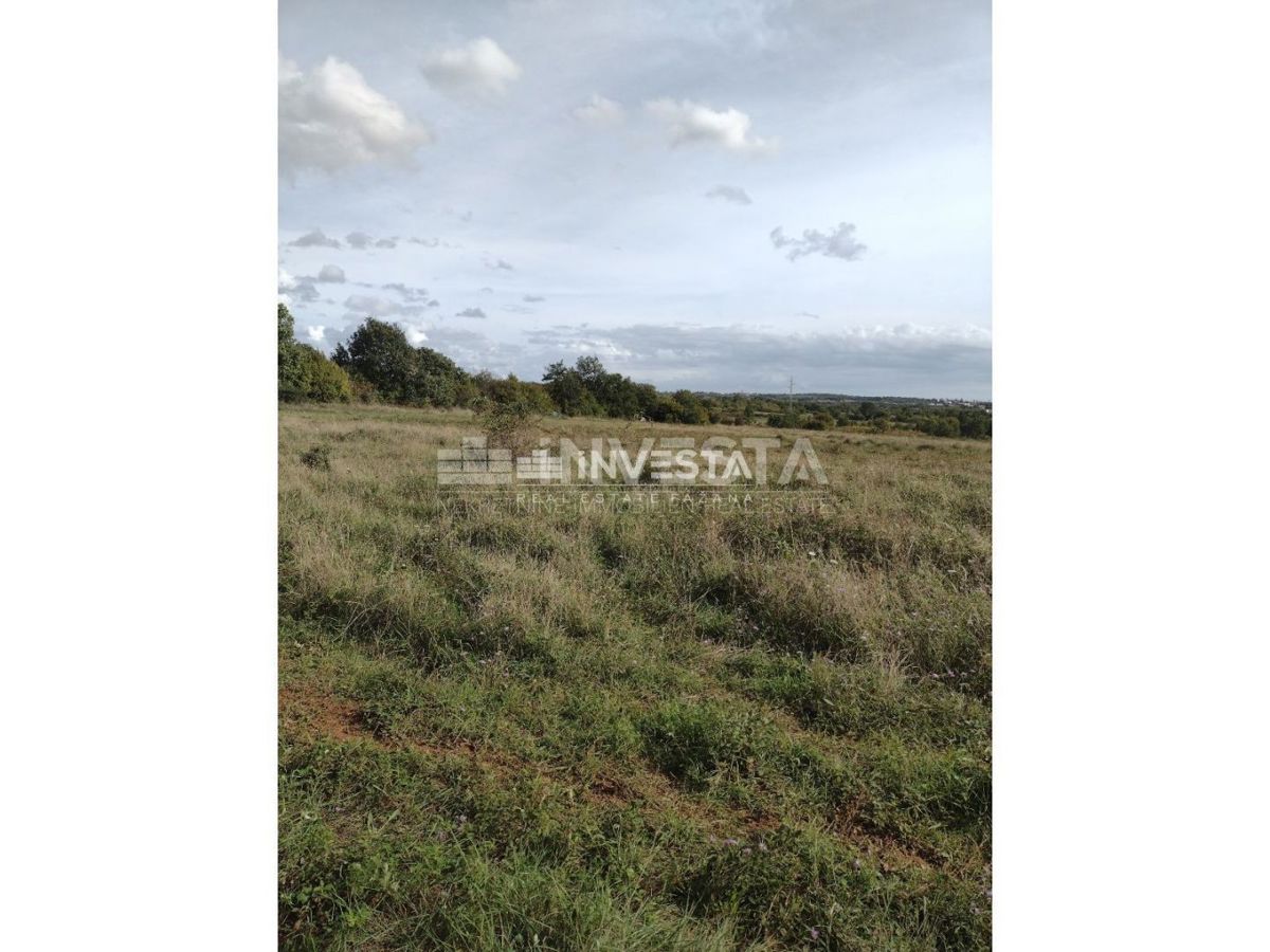 Tar, Kmetijsko zemljišče 10.000 m2