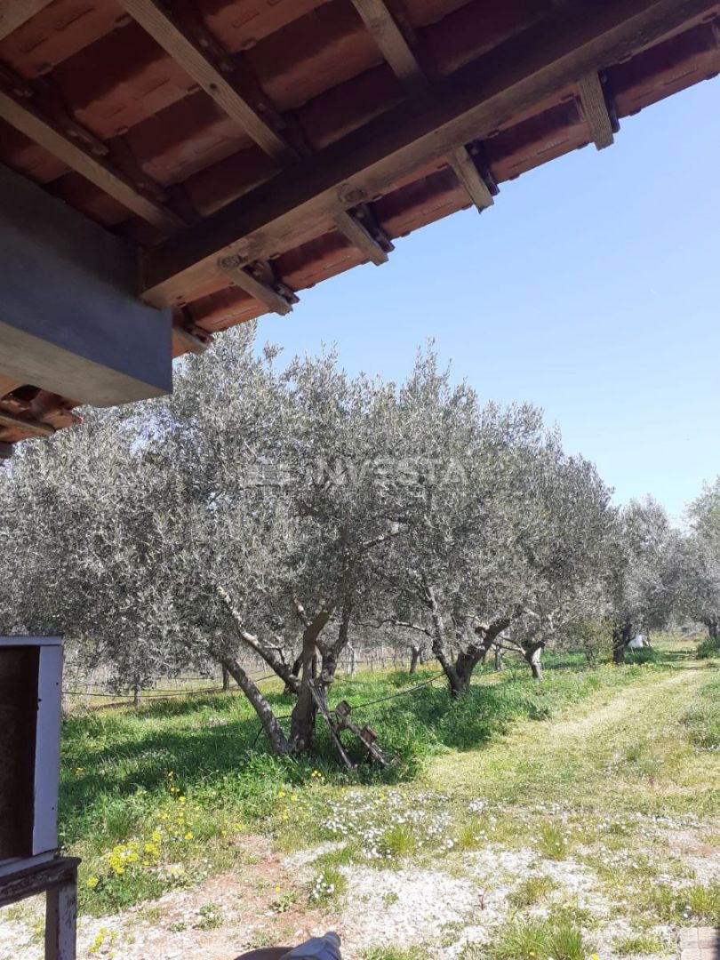 Rovinj, Popolna Lastnost za Počitek in Agriturizem
