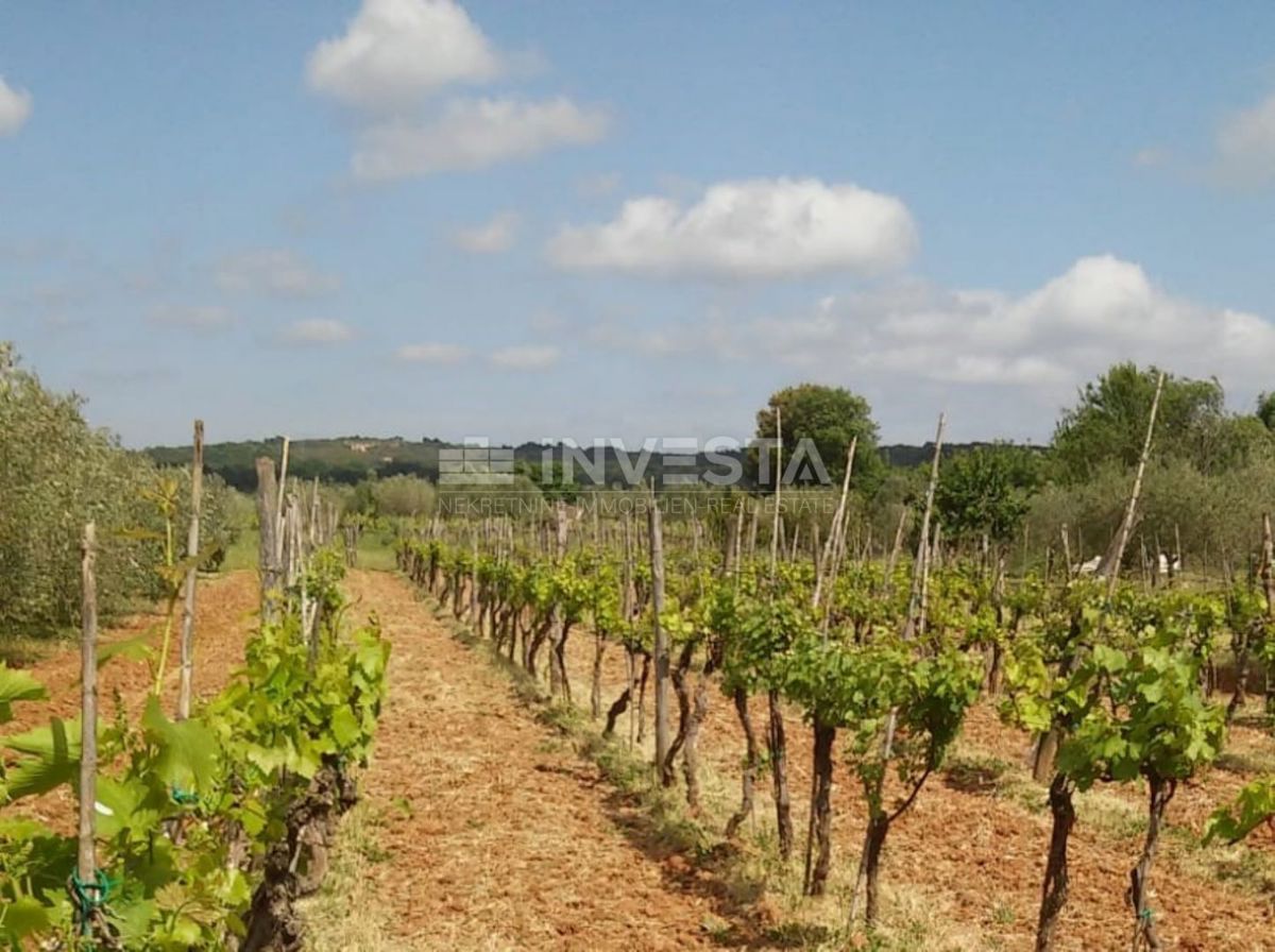 Rovinj, Popolna Lastnost za Počitek in Agriturizem