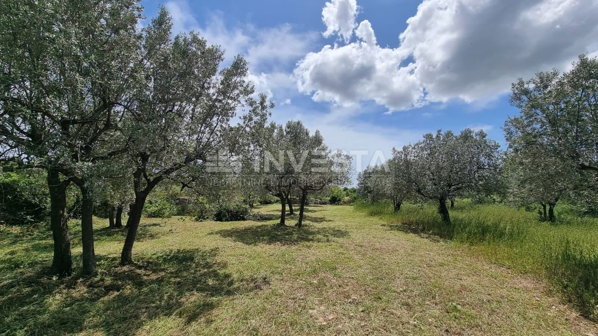 Vodnjan, Galižana, Gradbena parcela z razgledom na morje