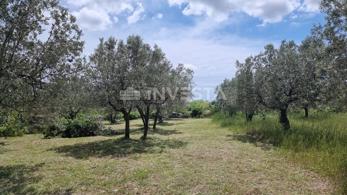 Vodnjan, Galižana, Gradbena parcela z razgledom na morje