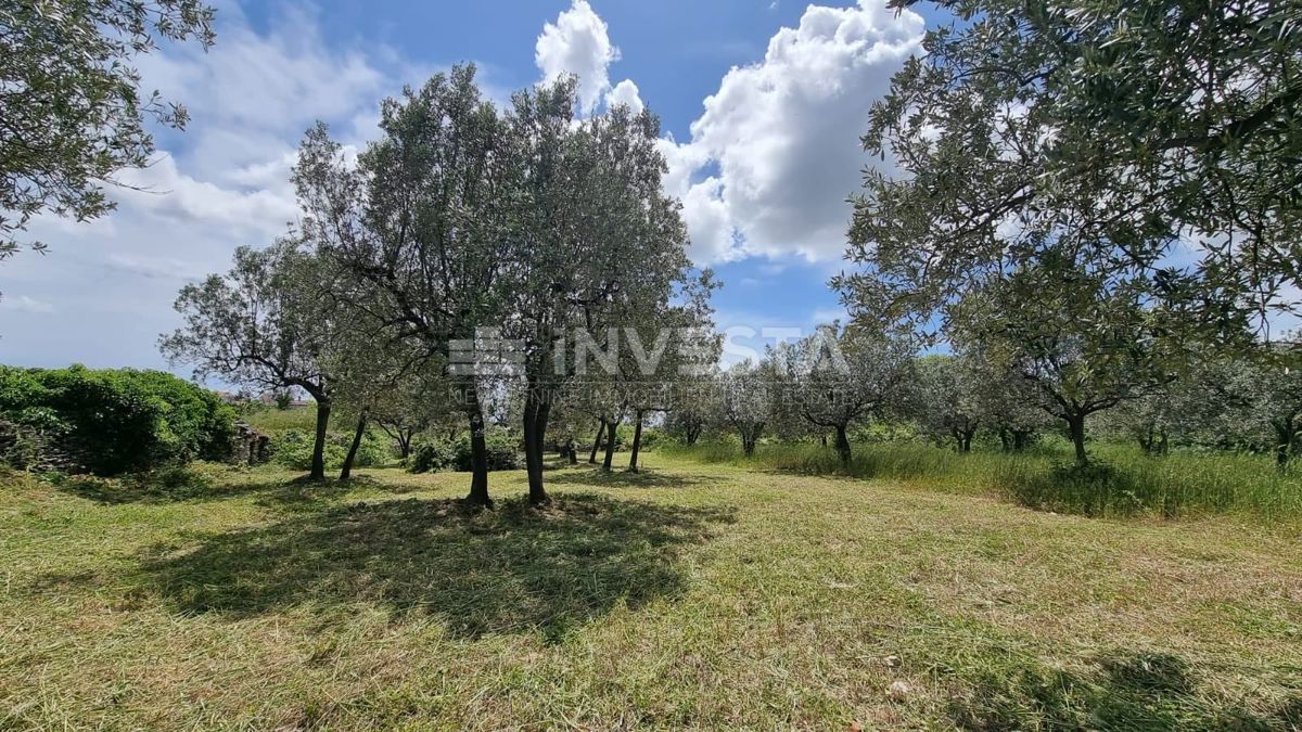 Vodnjan, Galižana, Gradbena parcela z razgledom na morje