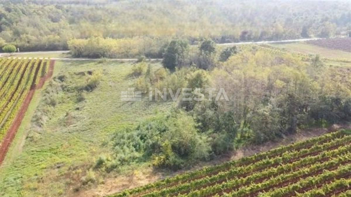 Zemljišče Kaštelir, Kaštelir-Labinci, 8.200m2