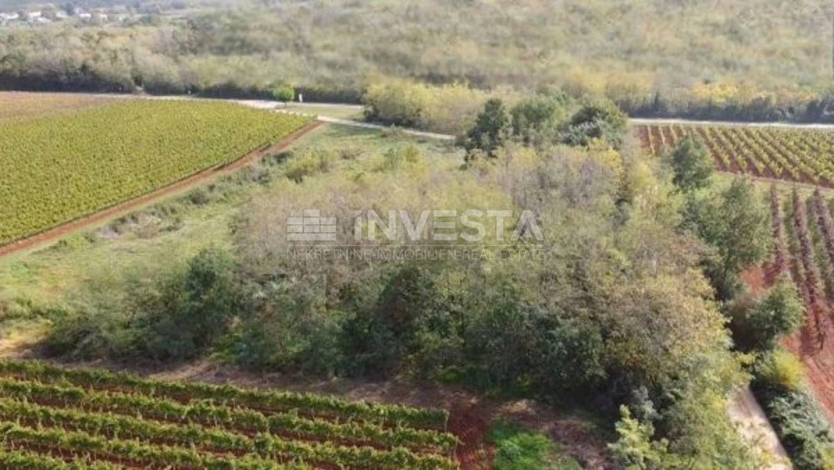 Zemljišče Kaštelir, Kaštelir-Labinci, 8.200m2