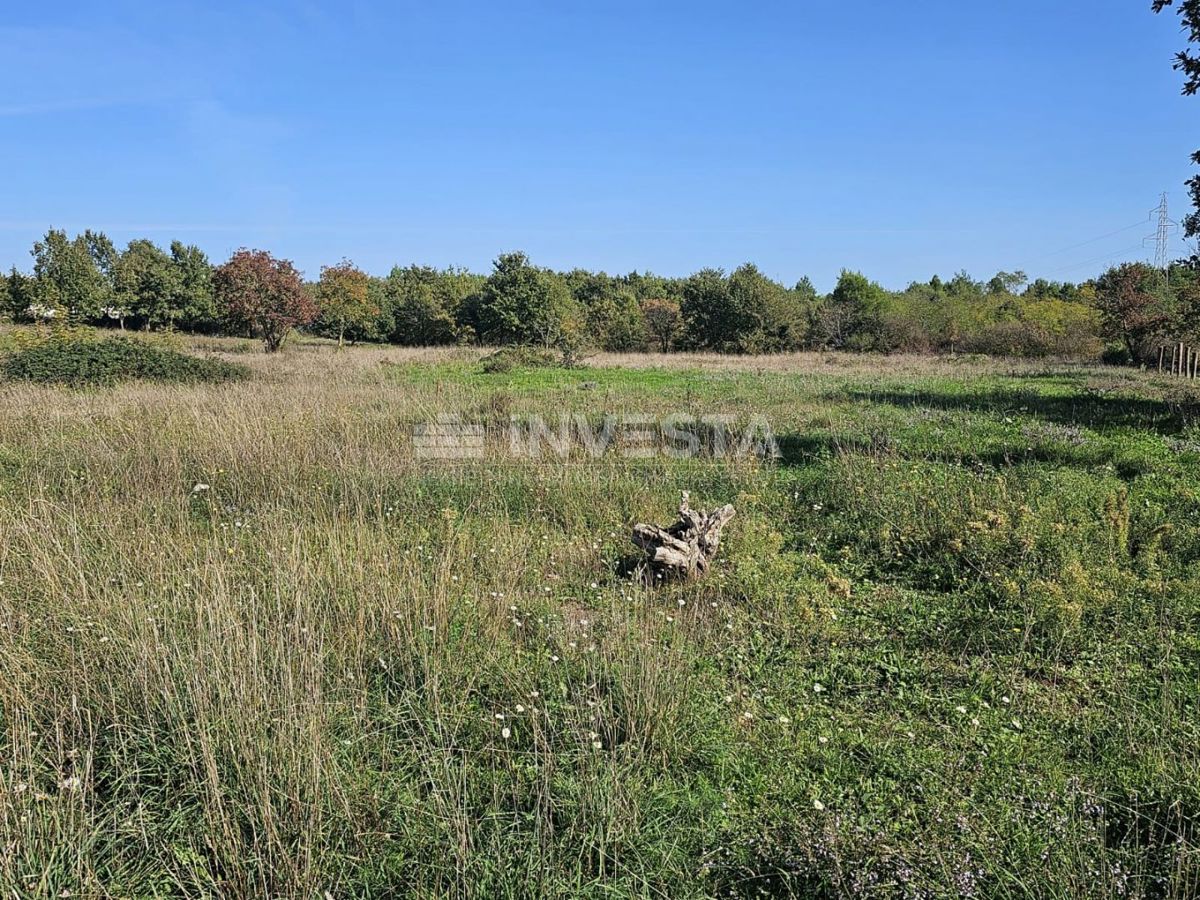 Vodnjan, okolica - pet gradbenih parcel z načrtom za gradnjo hiš