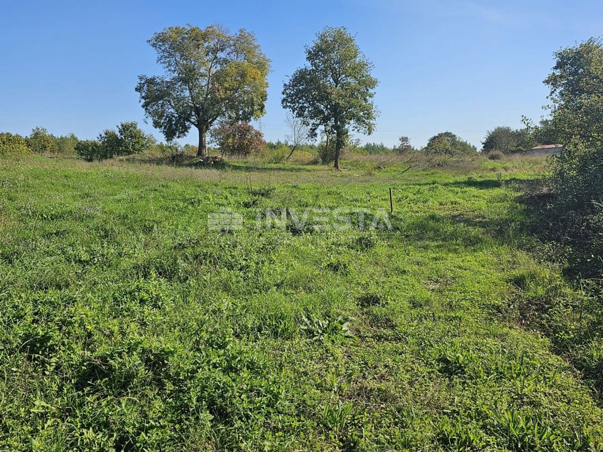 Vodnjan, okolica - pet gradbenih parcel z načrtom za gradnjo hiš