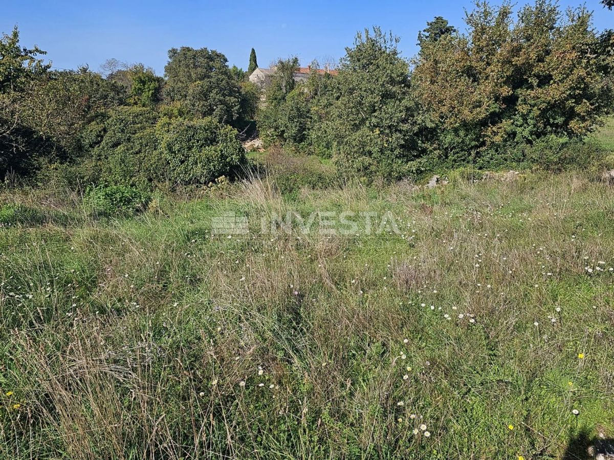 Vodnjan, okolica - pet gradbenih parcel z načrtom za gradnjo hiš