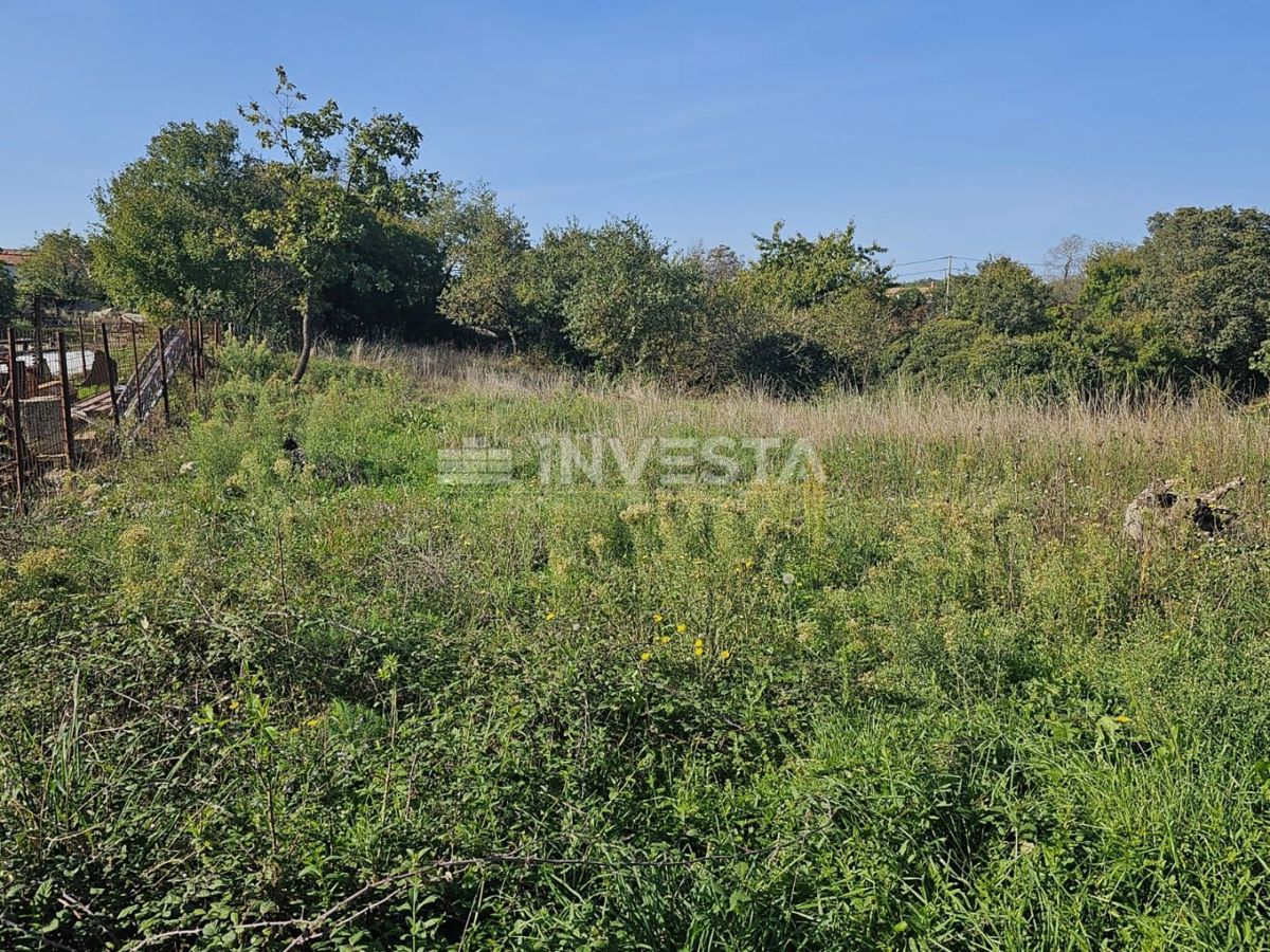 Vodnjan, okolica - pet gradbenih parcel z načrtom za gradnjo hiš