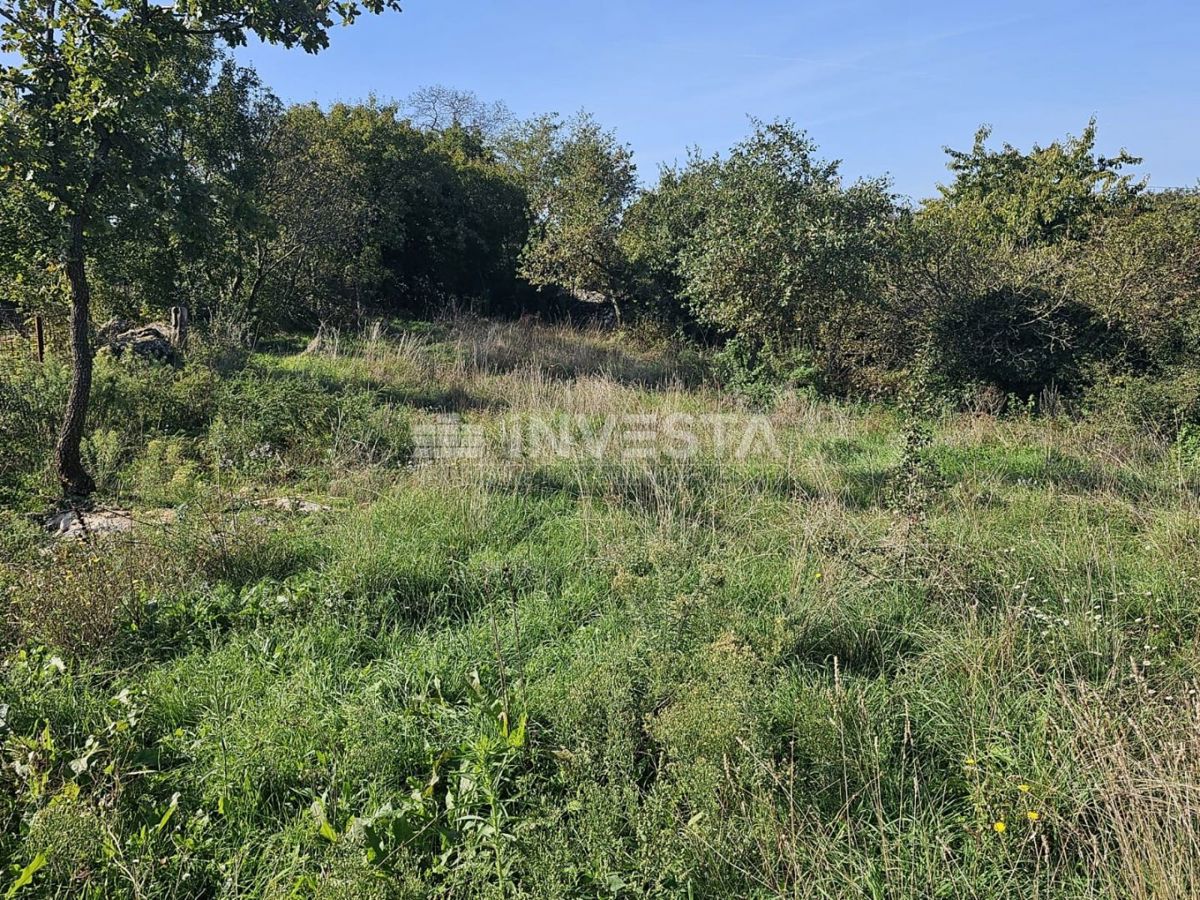 Vodnjan, okolica - pet gradbenih parcel z načrtom za gradnjo hiš