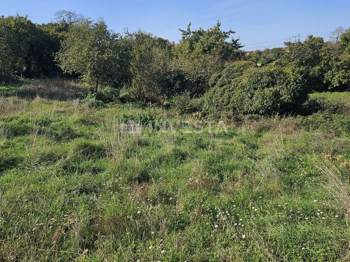 Vodnjan, okolica - pet gradbenih parcel z načrtom za gradnjo hiš