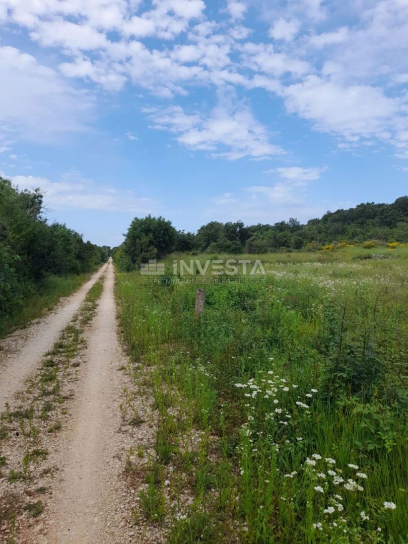 Rovinj, kmetijsko zemljišče 21.206 m² z registriranim skladiščem 14 m²