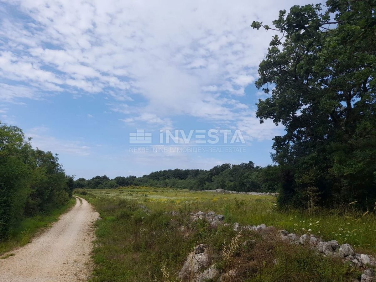 Rovinj, kmetijsko zemljišče 21.206 m² z registriranim skladiščem 14 m²
