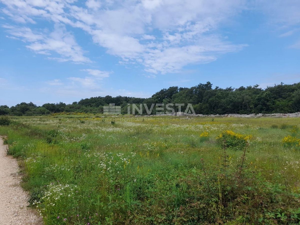 Rovinj, kmetijsko zemljišče 21.206 m² z registriranim skladiščem 14 m²