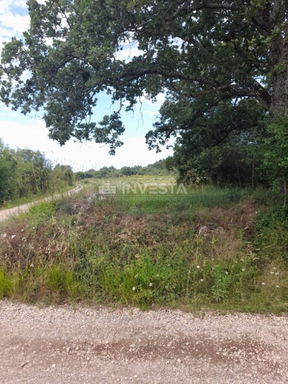 Rovinj, kmetijsko zemljišče 21.206 m² z registriranim skladiščem 14 m²