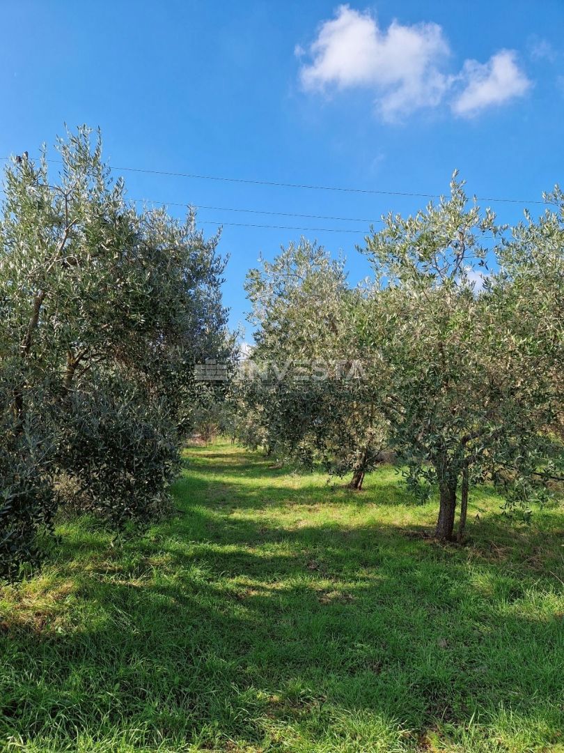 Pula, samostojna družinska hiša s 4 apartmaji in prostornim vrtom