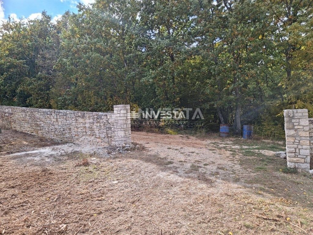 Okolica Svetog Lovreča, oljčni nasad 13300 m2