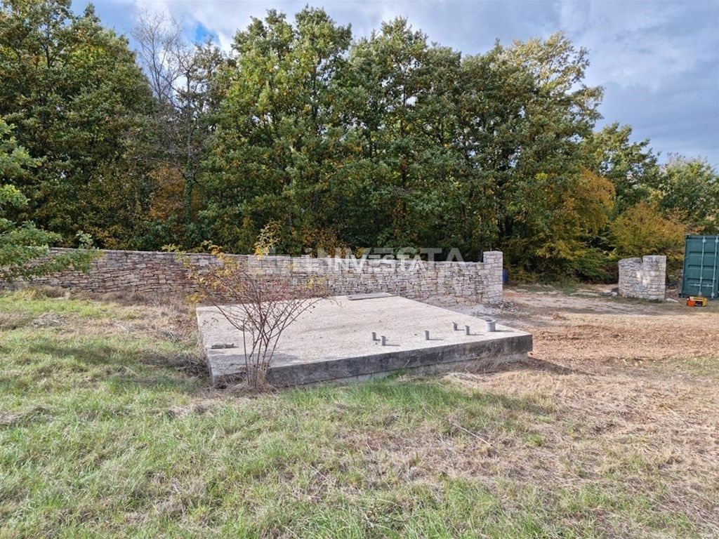 Okolica Svetog Lovreča, oljčni nasad 13300 m2