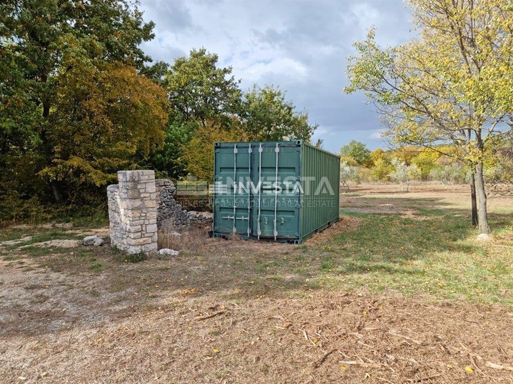 Okolica Svetog Lovreča, oljčni nasad 13300 m2