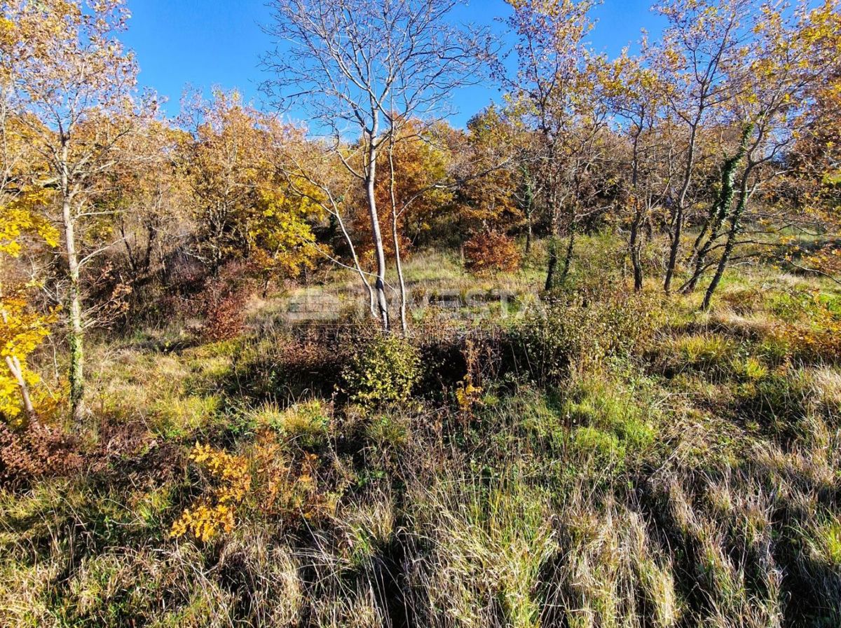 Štokovci - stanovanjska parcela 645 m² in kmetijska parcela 1603 m²
