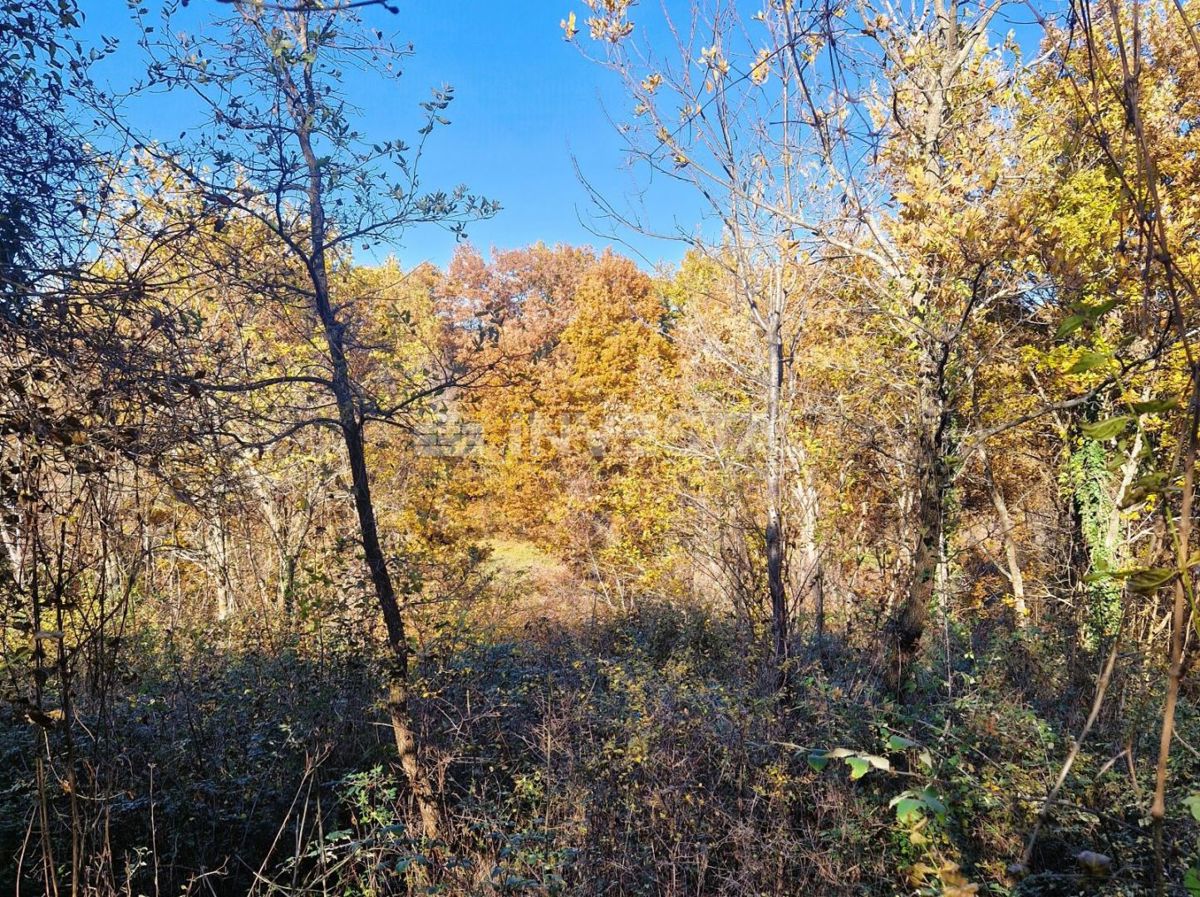 Štokovci - stanovanjska parcela 645 m² in kmetijska parcela 1603 m²