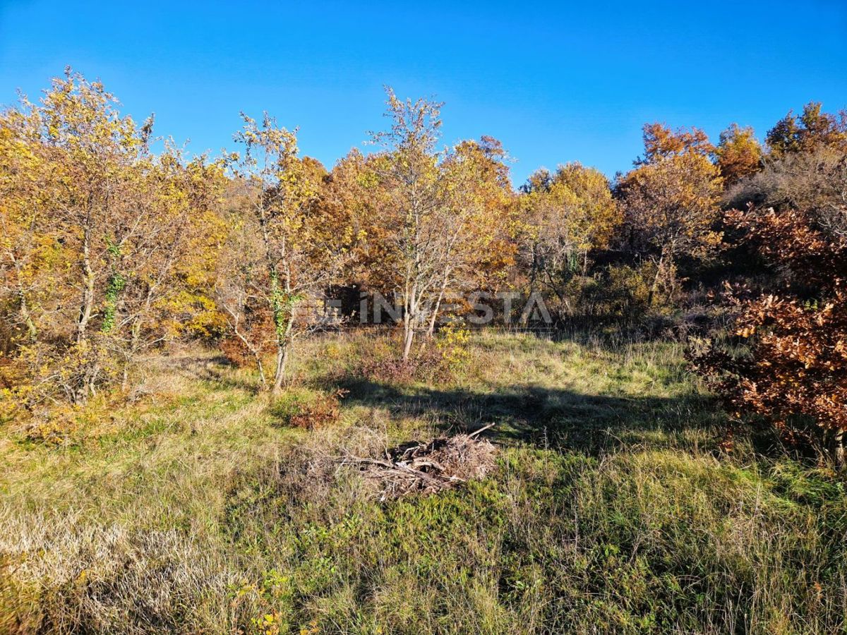Štokovci - stanovanjska parcela 645 m² in kmetijska parcela 1603 m²
