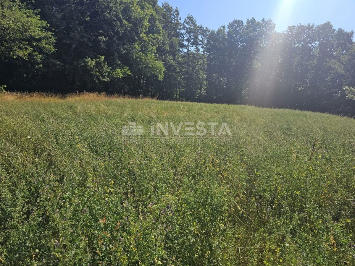 Pazin, kombinirano gradbeno/kmetijsko zemljišče 36.582 m²