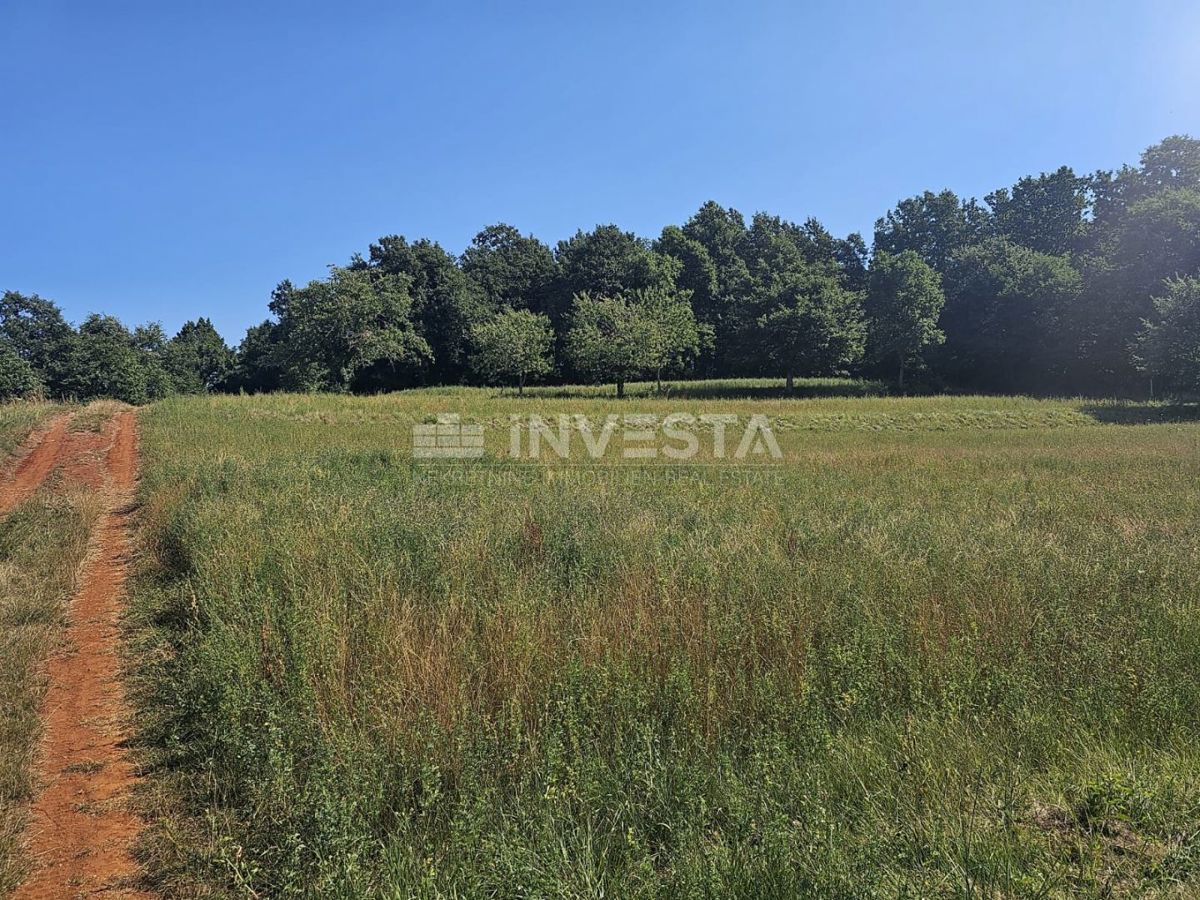 Pazin, kombinirano gradbeno/kmetijsko zemljišče 36.582 m²