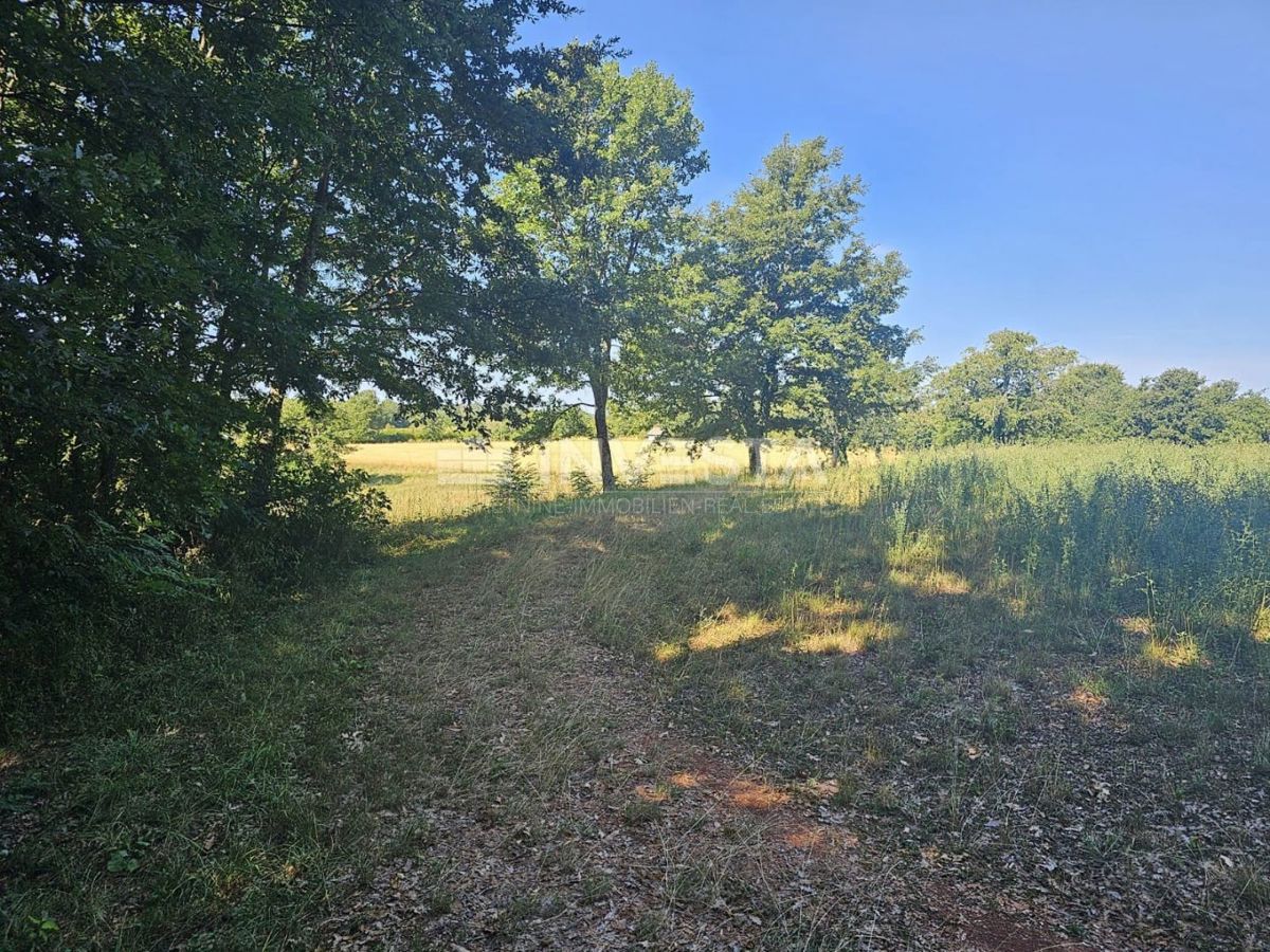Pazin, kombinirano gradbeno/kmetijsko zemljišče 36.582 m²