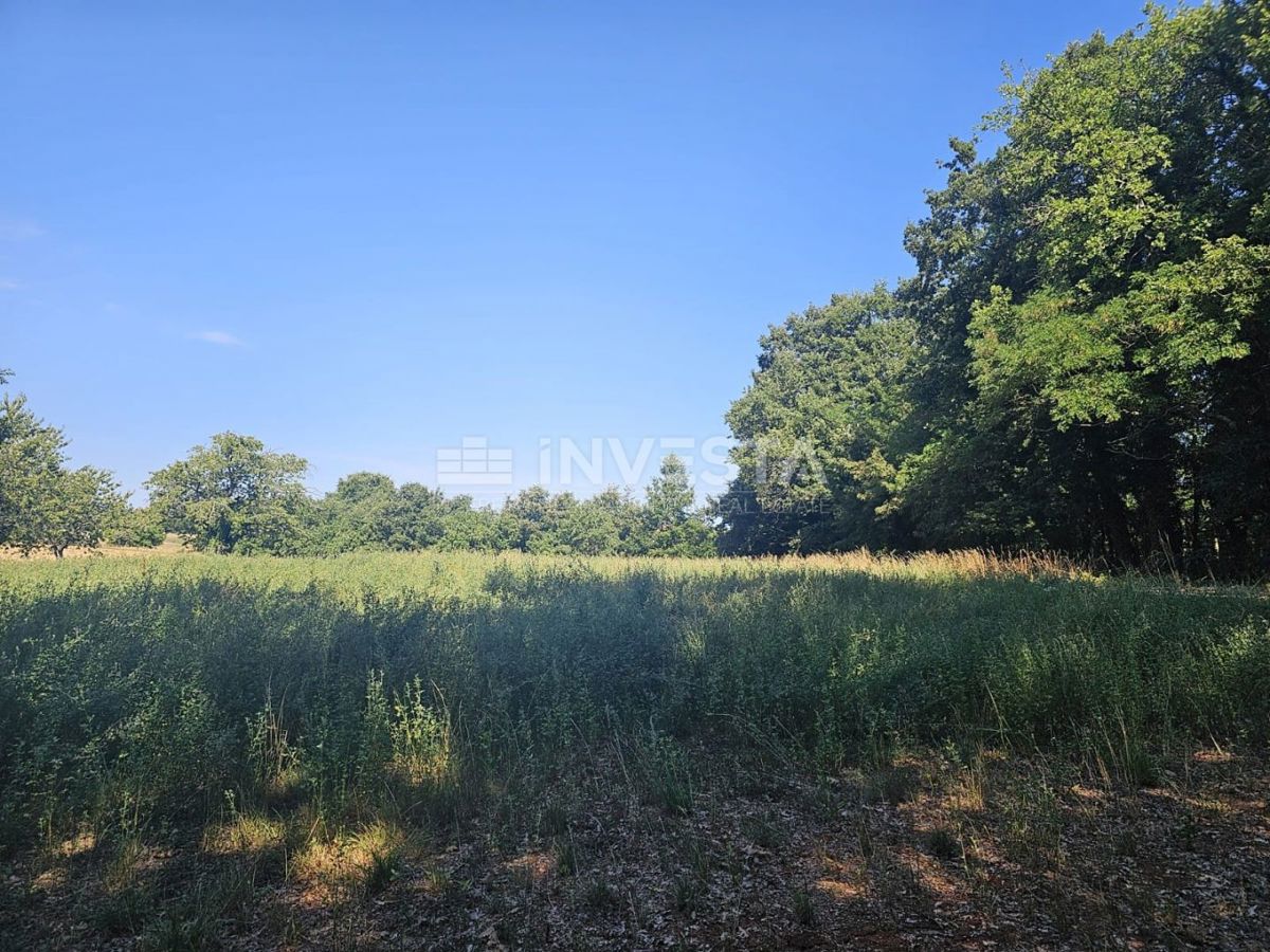 Pazin, kombinirano gradbeno/kmetijsko zemljišče 36.582 m²