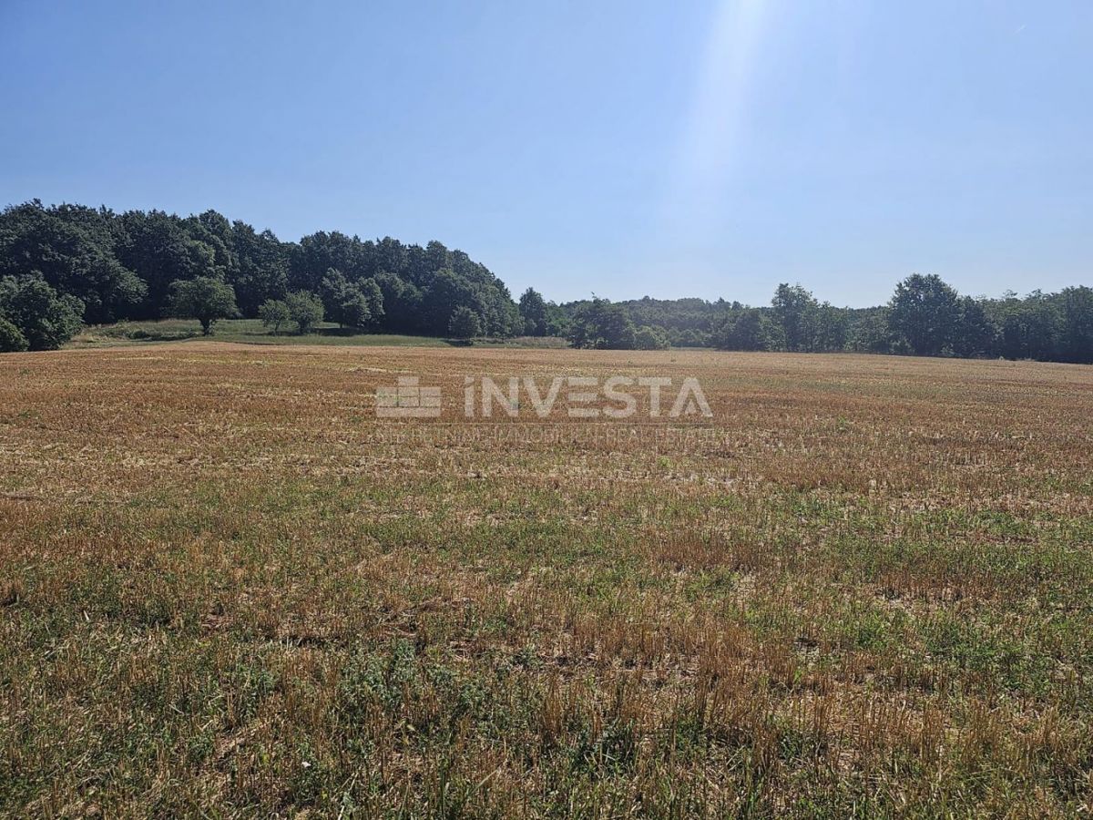 Pazin, kombinirano gradbeno/kmetijsko zemljišče 36.582 m²