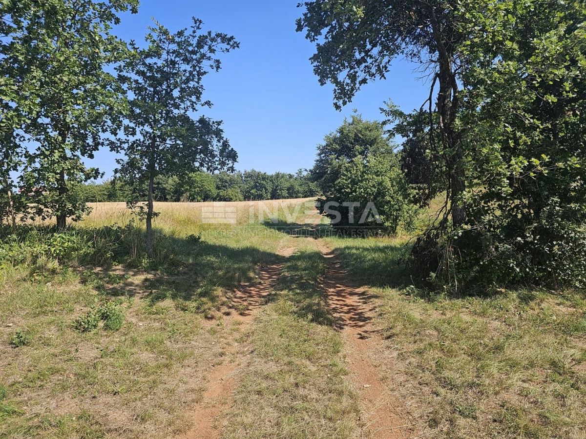 Pazin, kombinirano gradbeno/kmetijsko zemljišče 36.582 m²