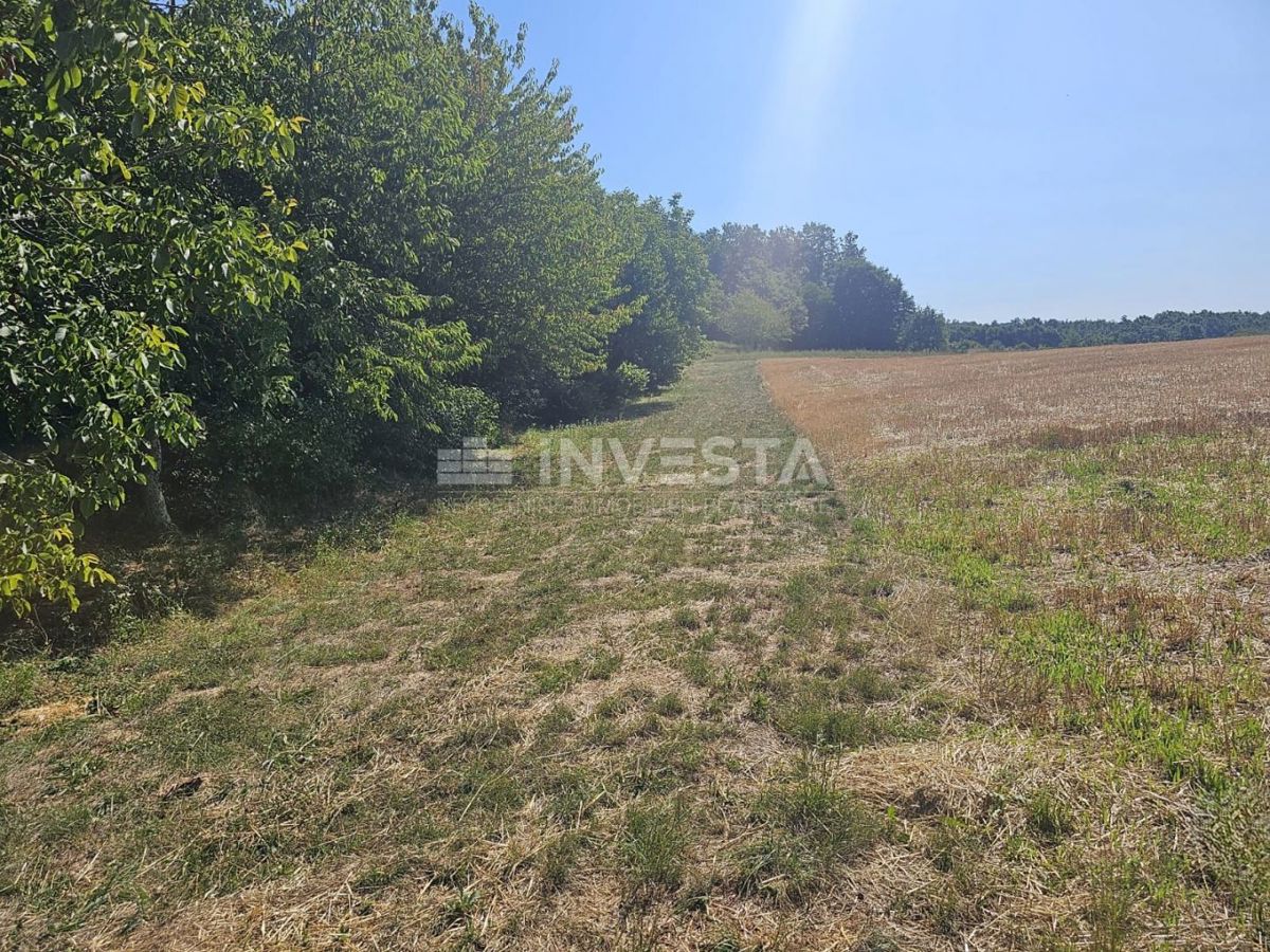 Pazin, kombinirano gradbeno/kmetijsko zemljišče 36.582 m²