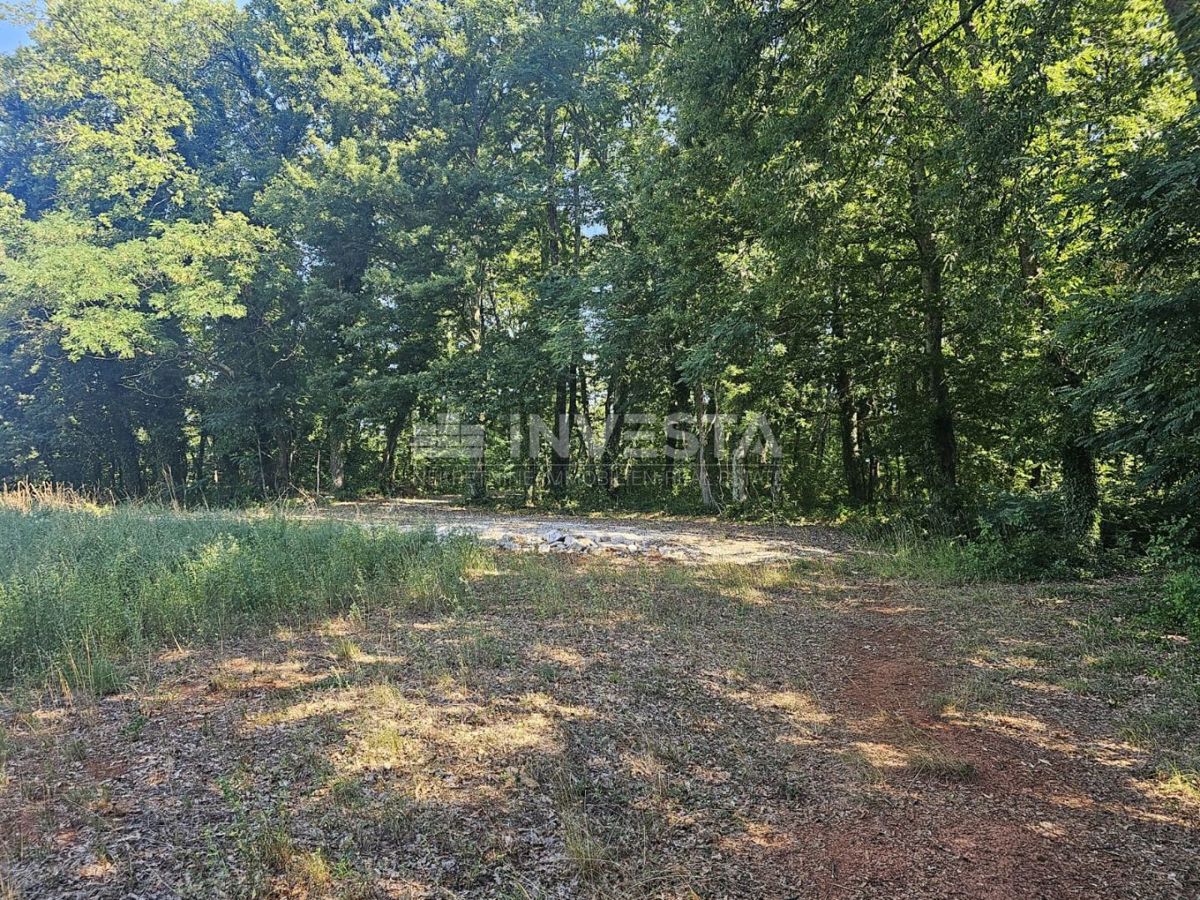 Pazin, kombinirano gradbeno/kmetijsko zemljišče 36.582 m²