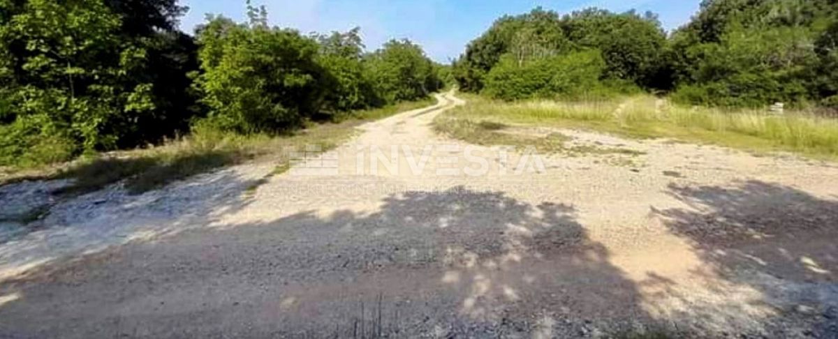 Rovinj, kmetijsko zemljišče 10038 m2