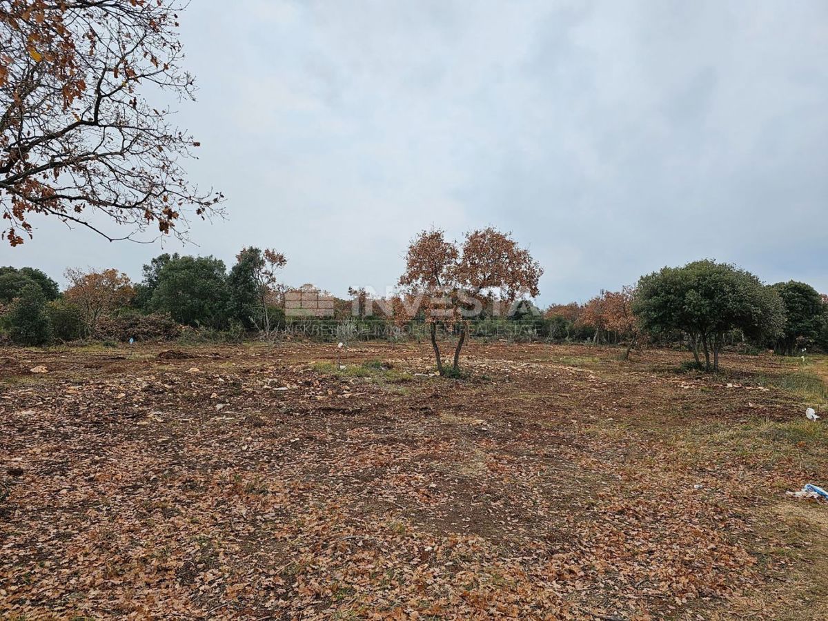 Peroj, Zemljišče 500 metrov od morja