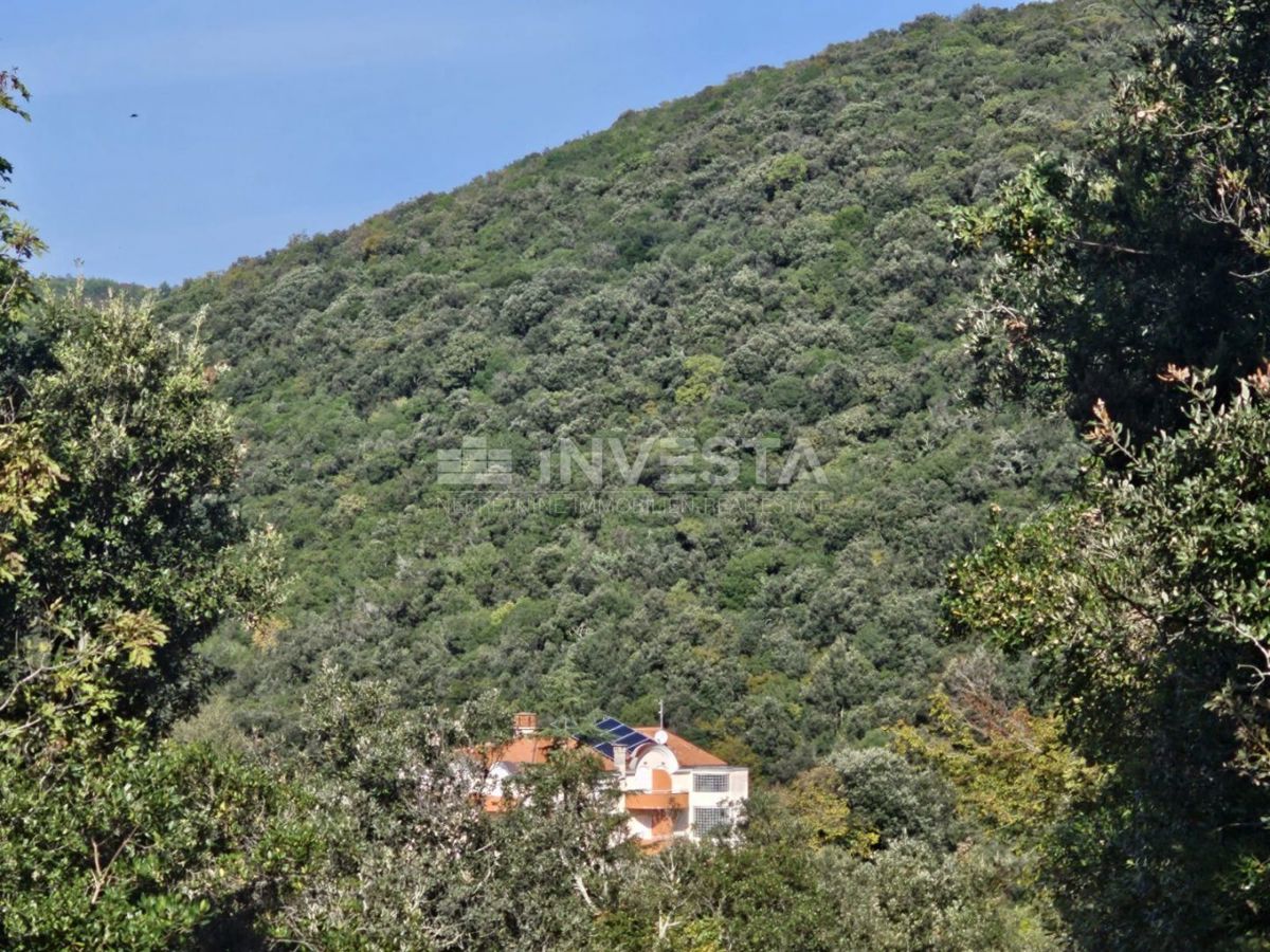 Krnički Porat, gozd 200 m od morja in 40 m do urbanizirane cone