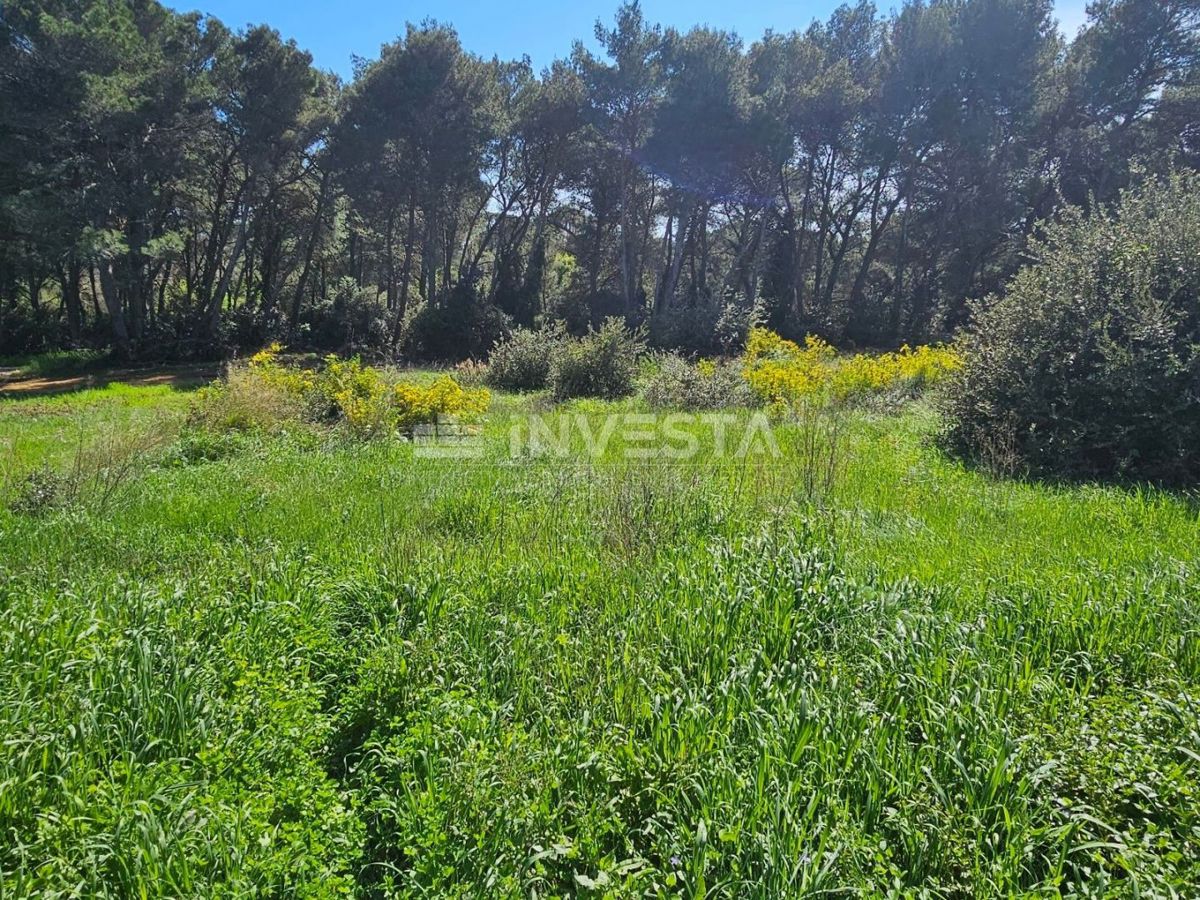 Pula, prodaja stavbnega zemljišča blizu morja