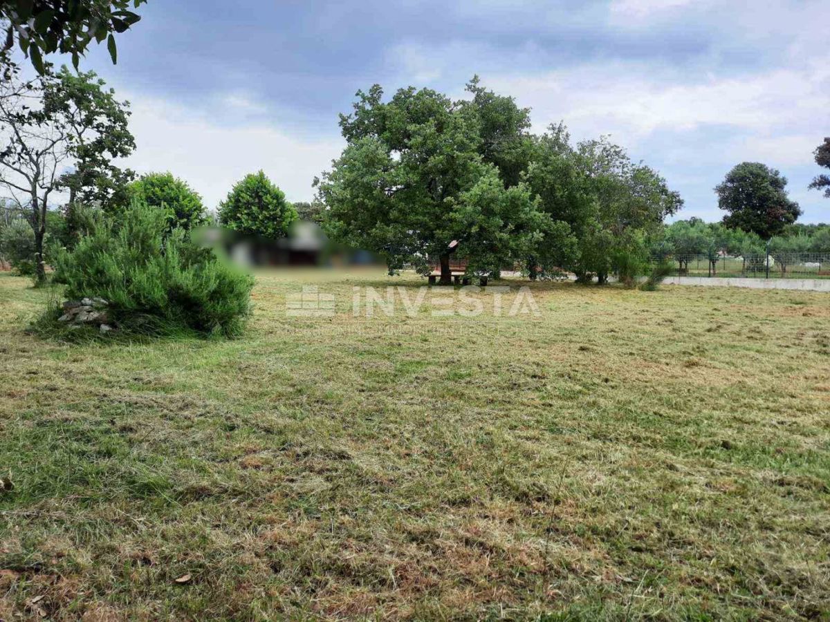 Šišan, Kmetijsko Zemljišče 1451m², Blizu Morja