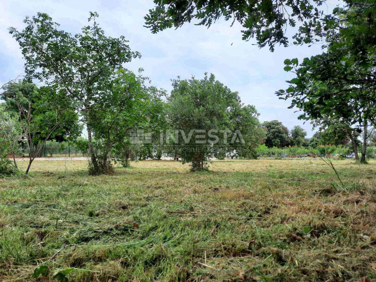 Šišan, Kmetijsko Zemljišče 1451m², Blizu Morja