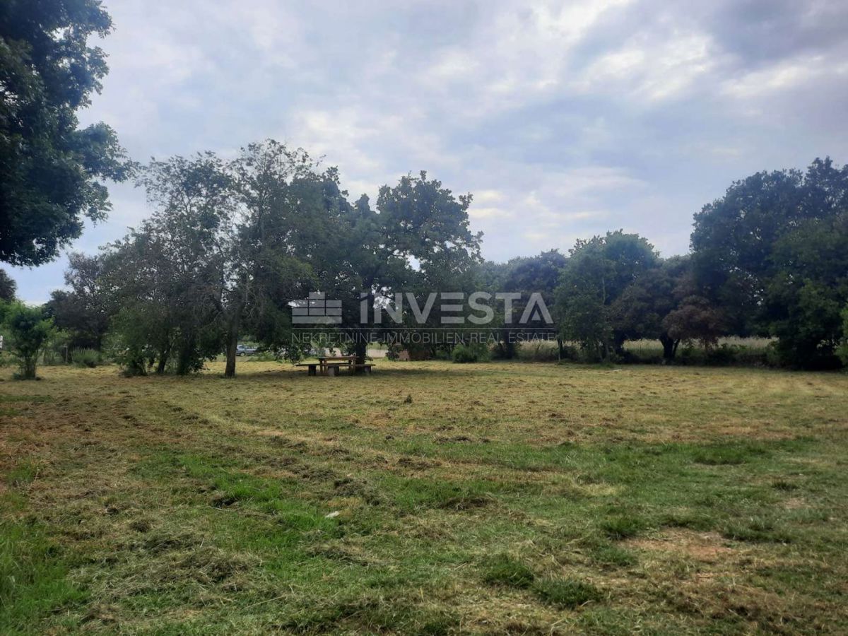 Šišan, Kmetijsko Zemljišče 1451m², Blizu Morja