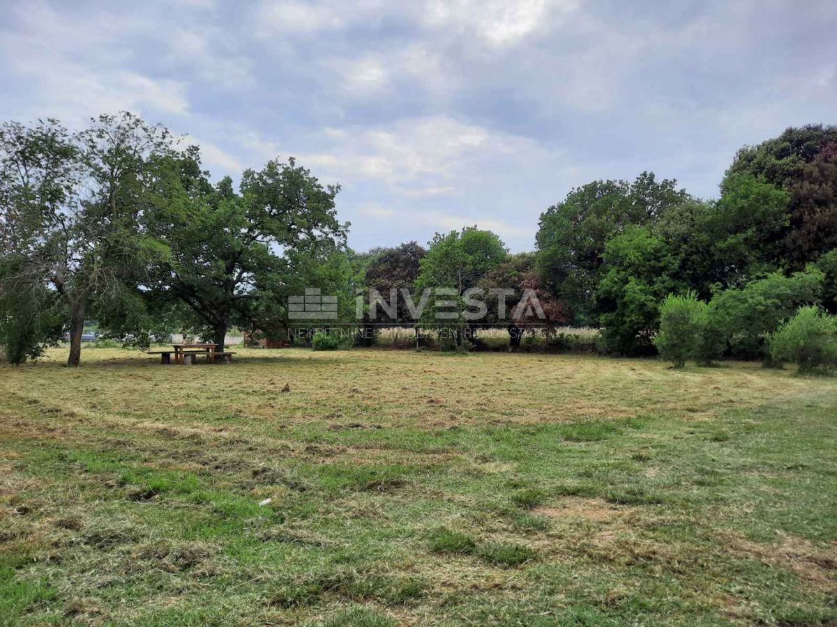 Šišan, Kmetijsko Zemljišče 1451m², Blizu Morja