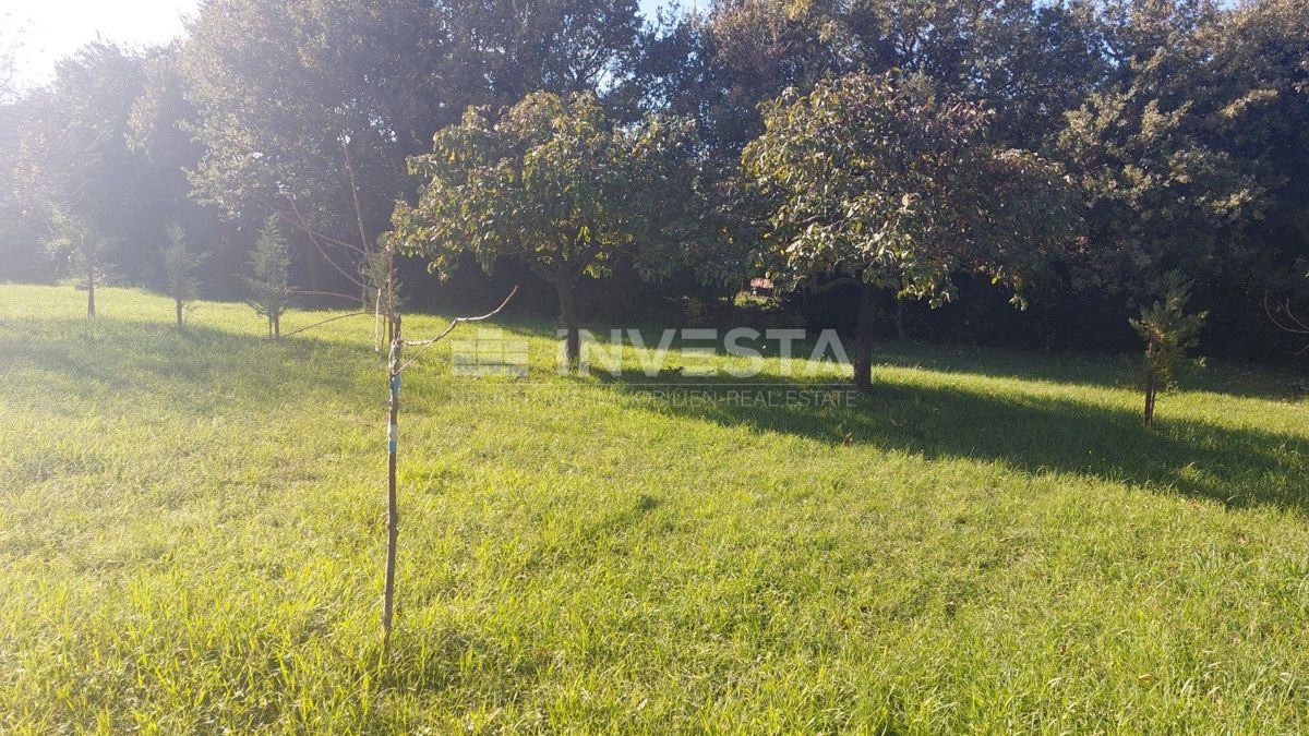 Poreč, okolica – gradbeno zemljišče z gospodarsko zgradbo