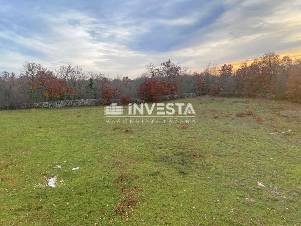 Juršići, zemljišče 20.000 m2 s projektom, pričetek gradnje