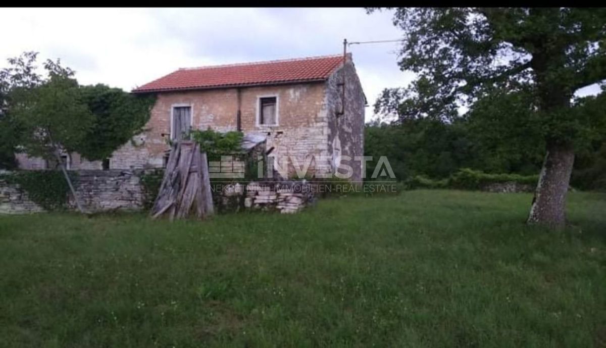Istarska starina z obsežno dvorišče