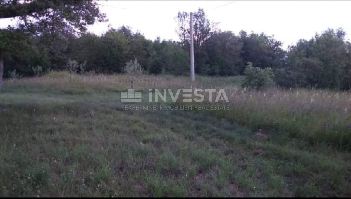 Istarska starina z obsežno dvorišče