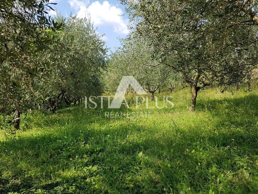 Samostojna hiša s 5 apartmaji