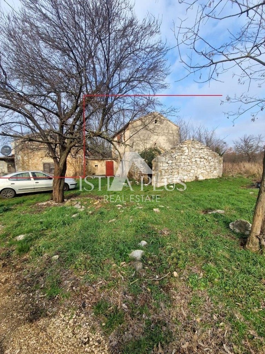 Hiša 