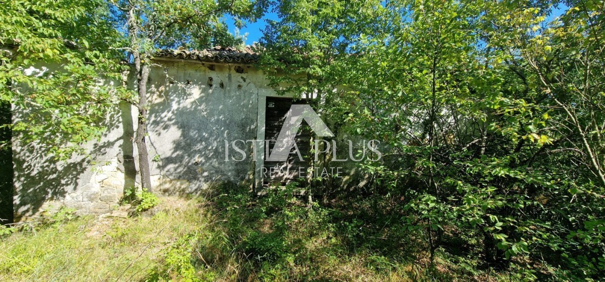 Edinstvena nepremičnina, veliko gradbeno zemljišče in velika kmetijska + kamnita hiša na hribu s pogledom na Motovun