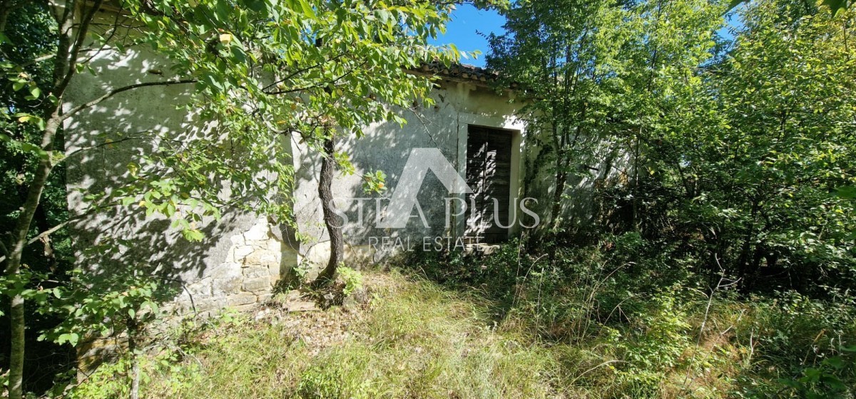 Edinstvena nepremičnina, veliko gradbeno zemljišče in velika kmetijska + kamnita hiša na hribu s pogledom na Motovun